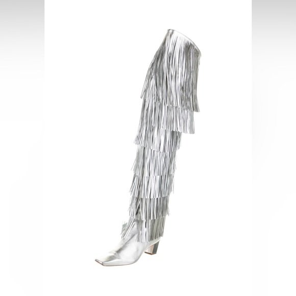 Roger Vivier Shoes - ROGER VIVIER over knee boots.